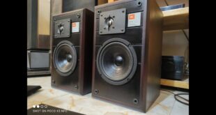 JBL T12 Review: Warm, Detailed, And Well-balanced Sound Signature