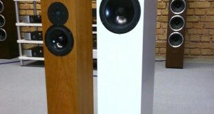 Kudos X2 Review: A Compact Speaker With Big Sound