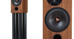 Affordable Audiophile Excellence: Proac D2R Price Review