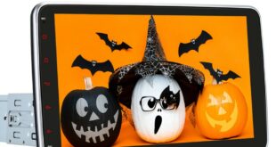 Analyzing Pumpkin Car Stereo: A Comprehensive Review