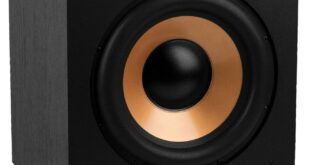 Bic America H 100ii Review: Budget Bass Beast Or Bluster?